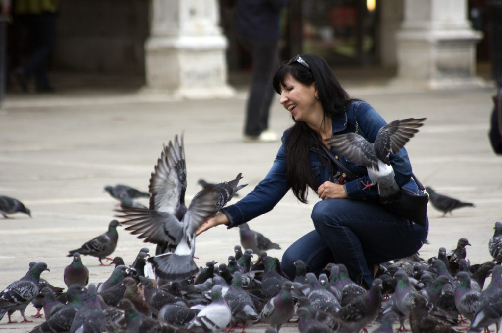 woman feeding pigeons at Venice pigeons square